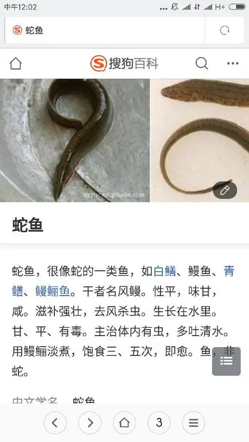 楼主保重.有毒的物种.吃是能吃,好自为之吧.这是蛇鱼.