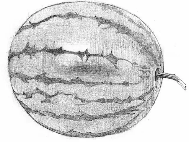 4.进一步上色调,刻画西瓜的立体感和质感.
