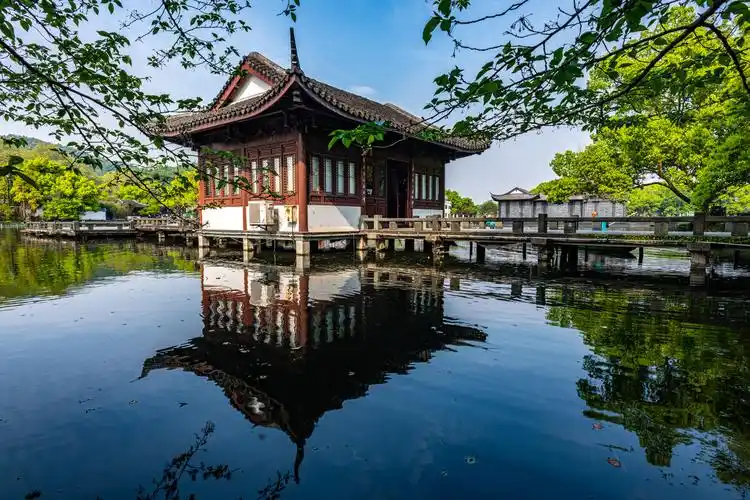 浙江杭州西湖曲院风荷春色