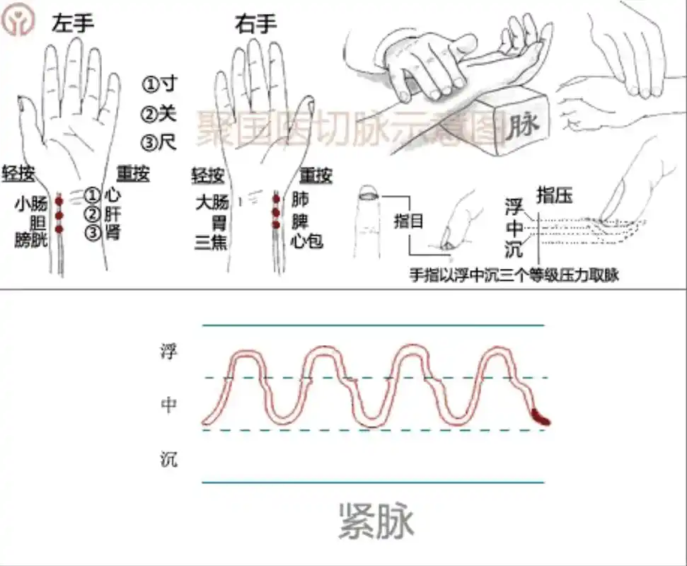 老中医手把手教中医脉诊,脉象知识!