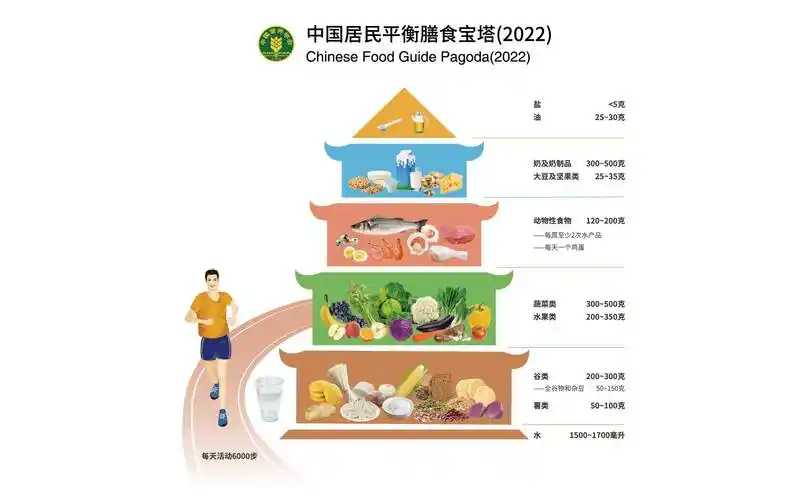 中国居民平衡膳食宝塔,餐盘,算盘图形(2022版)