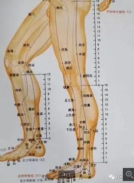 黄帝内针手足三阳经之阳明同气