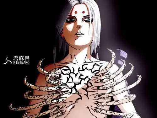 而剩下无论是尘盾冰盾以及,爆遁.