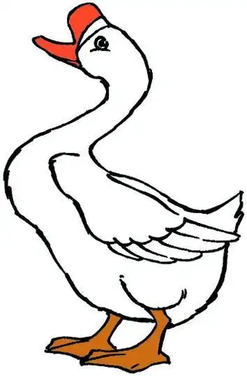 鹅的简笔画的颜色