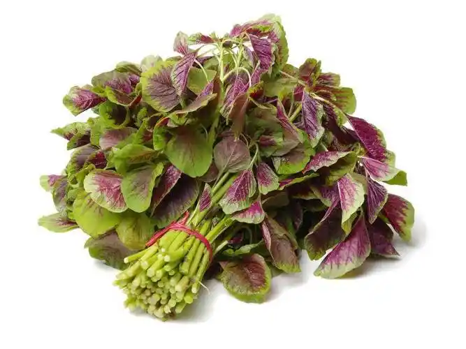 入伏前要多吃!它是夏季必吃"长寿菜",含钙量比牛奶还高!_苋菜_食用_绿