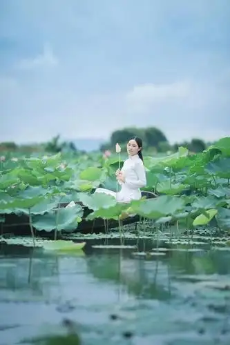 又到一年荷花季,荷花人像如何拍更美?5个技巧拍出清新典雅的美