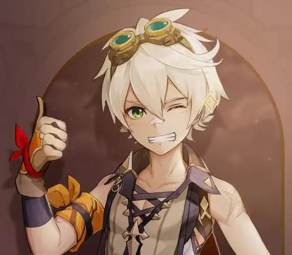 原神雷神国家队组成及配队