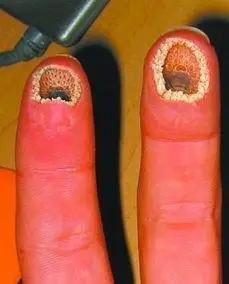 空空指空空指图片吓人