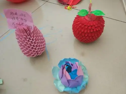 《纸菠萝》制作人:三年级陈灏