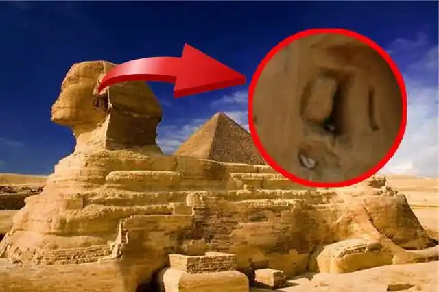 火星男孩说出金字塔的秘密引发热议网友回你的火星去