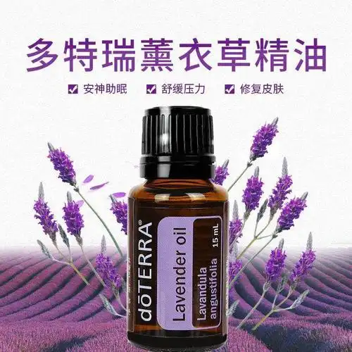 薰衣草精油价格