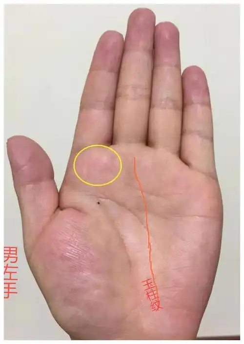 手相断掌纹:先难后易,35岁后事业明显起色的特征|断掌纹|手相|起色