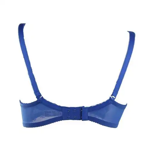 桑扶兰新品 聚拢刺绣花边文胸内衣ak912 红色 75c