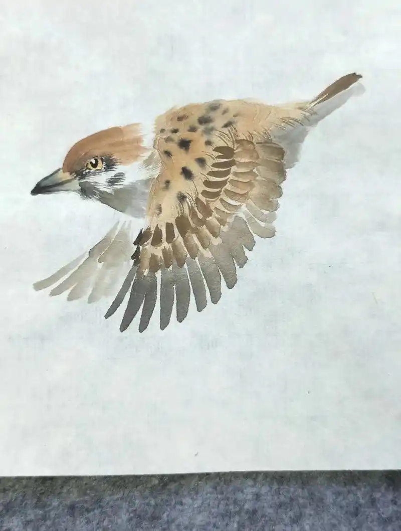 国画学习 #一起学画画 #国画麻雀#写意花鸟画  - 抖音