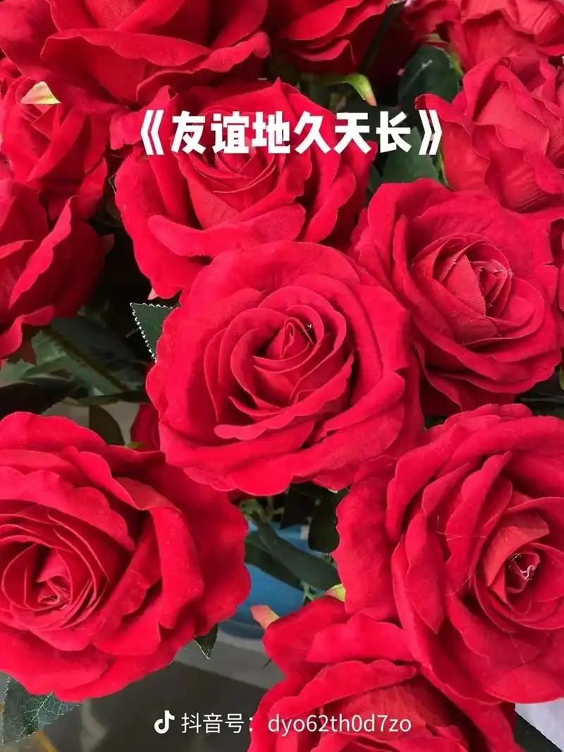 新年伊始,让我在人海茫茫中遇见好朋友们,让我们的友谊天长地久 - 抖