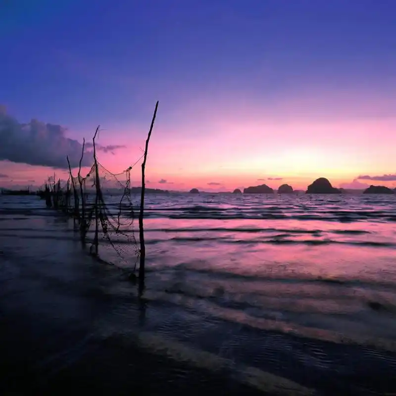 会员登录可下载 1024 无水印图片