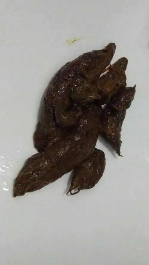 求诊断一下我的粪便