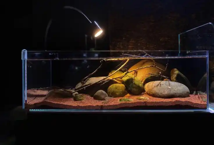 浅开一个溪流原生造景