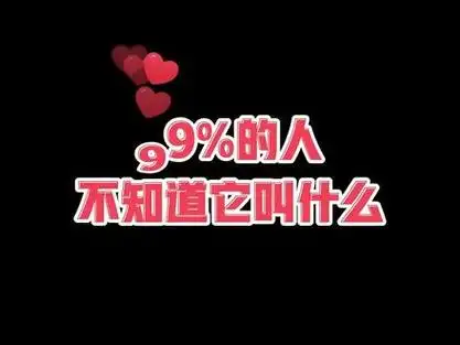 老头乐披萨是什么_说人老头乐是什么意思_重庆老头乐披萨 - 抖音