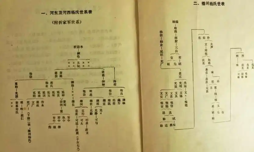 先抗辽再抗金抗元 最后一代杨家战斗至南宋灭亡最后一刻_杨家将