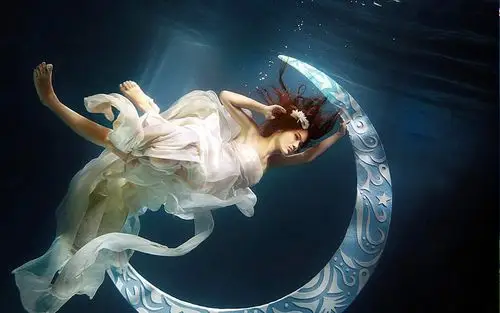 梦幻水下 请输入内容  请输入内容输入内容 请输入内容请输入内容 请