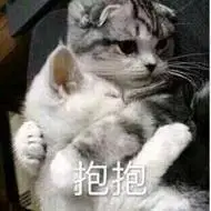 亲亲抱抱的表情包_微信头像图片大全