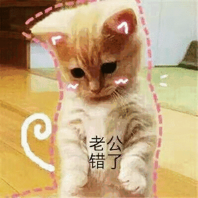 猫咪哄老公表情包