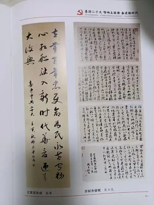 静思堂#张涛#书法作品《立党百年诗》#书法 #传统文化#毛笔 - 抖音