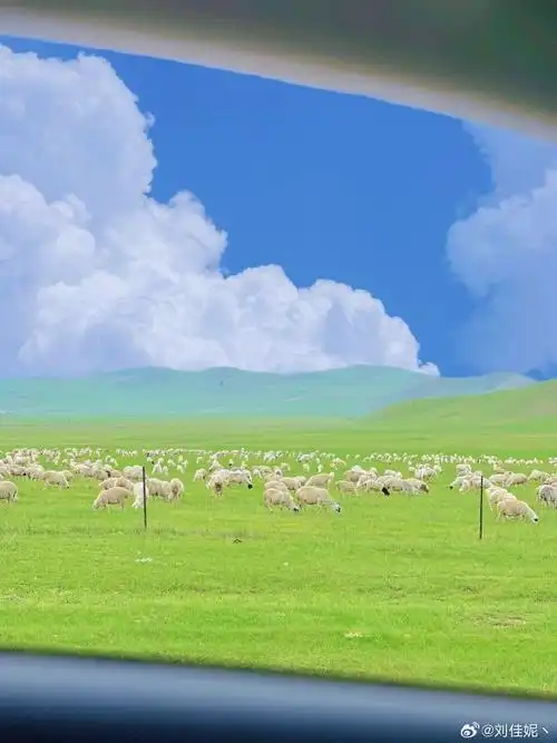 但是一定要去一下呼伦贝尔大草原啊,真的好治愈呀,站在一望无际的旷野