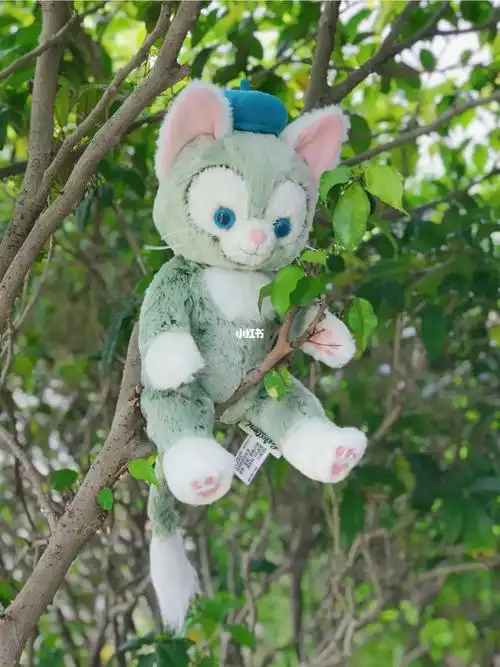 猫猫上树托尼身手不错05