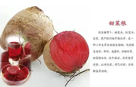 甜菜根的副作用和危害甜菜根的食用禁忌
