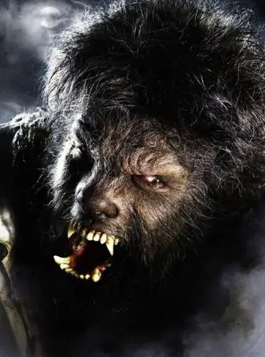 狼人剧照_电影剧照_图集_电影网_1905.com