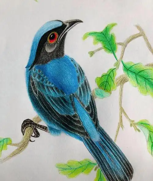 喜上梅梢自然之美 小鸟栖息歇枝头,黑蓝交织自然美