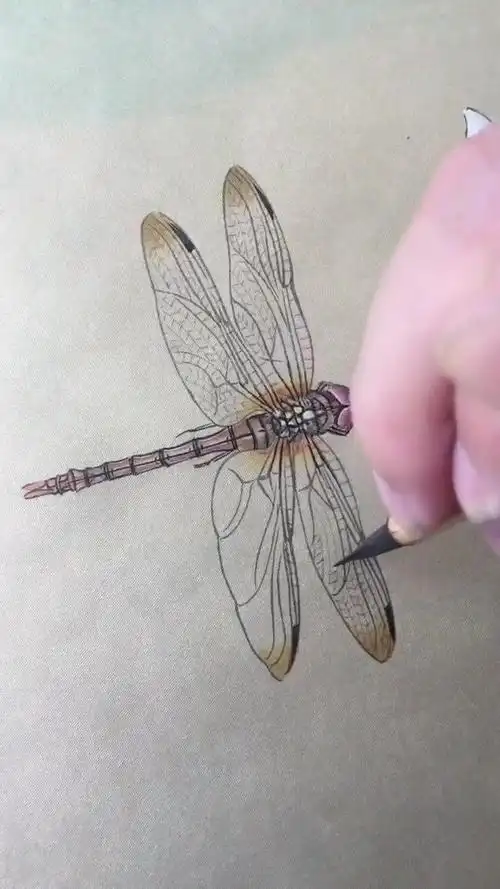 书画艺术欣赏:我的工笔蜻蜓
