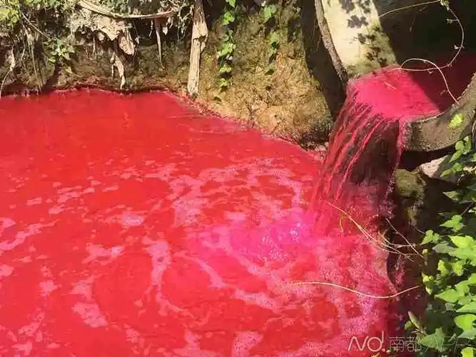 "血流成河"!惠州一小河现罕见污染物排放 河水变鲜红