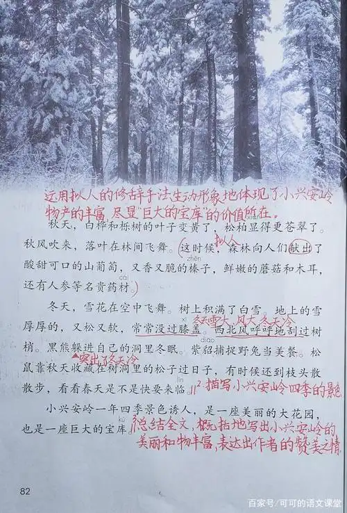 《美丽的小兴安岭》课堂笔记 课后小练笔 - 265学校教育网
