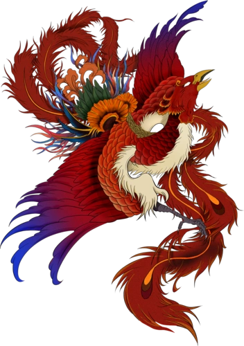 手绘插画-凤凰