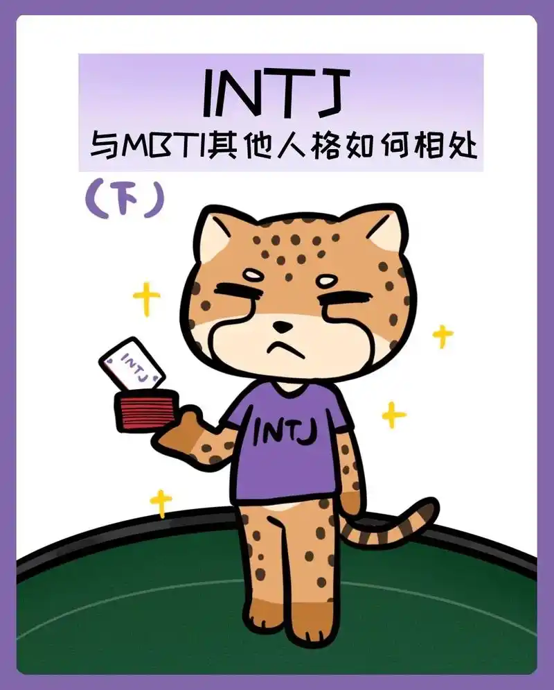 intj是怎样与其他人格相处的?(下)#m16人格研究所 # - 抖音