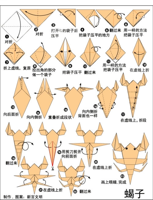 教育文学网折纸昆虫大全立体折纸犀牛甲虫的折纸视频教马博纳折纸螳螂