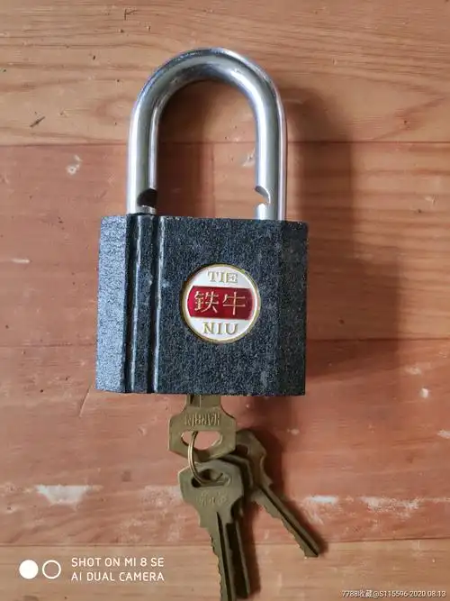 铁牛挂锁大号