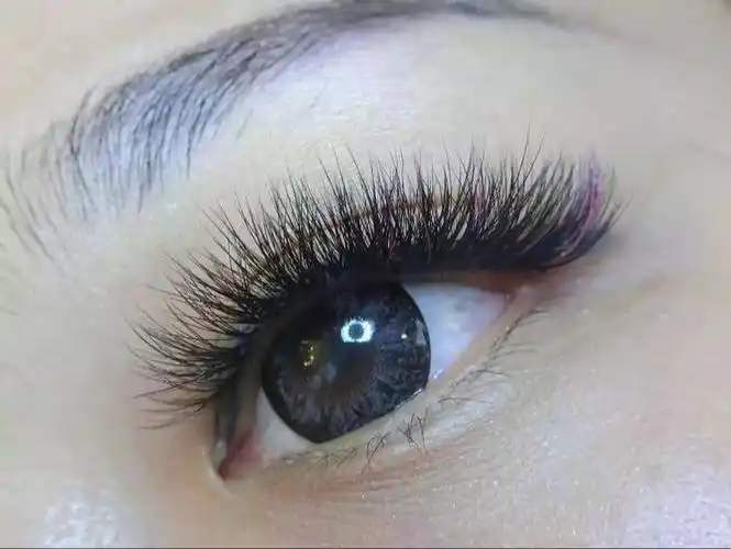 种植睫毛开花嫁接层次感细软山茶花天鹅