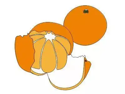 云南新华电脑学校分享cdr技法绘制逼真剥开小橘子