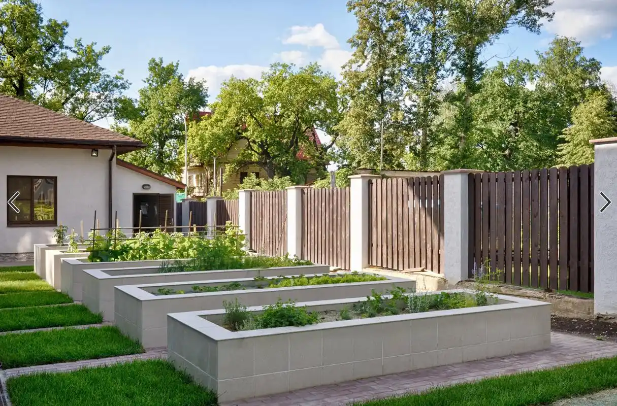 用藤条编制出蔬菜分割区域,种植了多种多样的蔬菜 转载自百家号作者