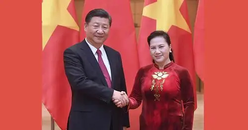 习近平会见越南国会主席阮氏金银