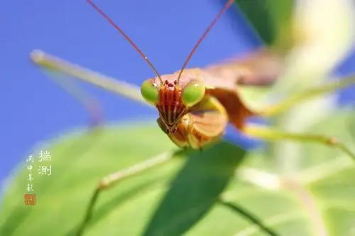 原图欣赏-太平洋摄影部落