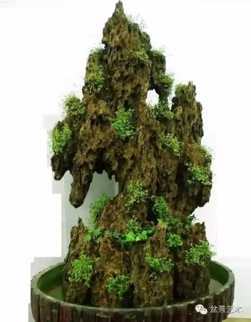 【盆景视窗】如何制作上水石盆景