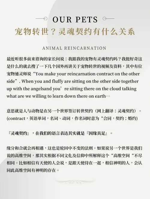 揭开灵魂契约的真正含义