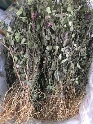 野生中药材瓜子金 瓜子草 惊风草 辰砂草 勒马回一斤500克包邮