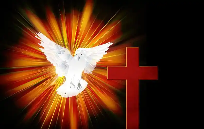 鸽子,亮光,十字架_高清图片_全景视觉