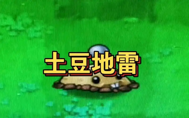 大图鉴—土豆地雷